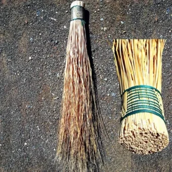 African Broom (Besom)